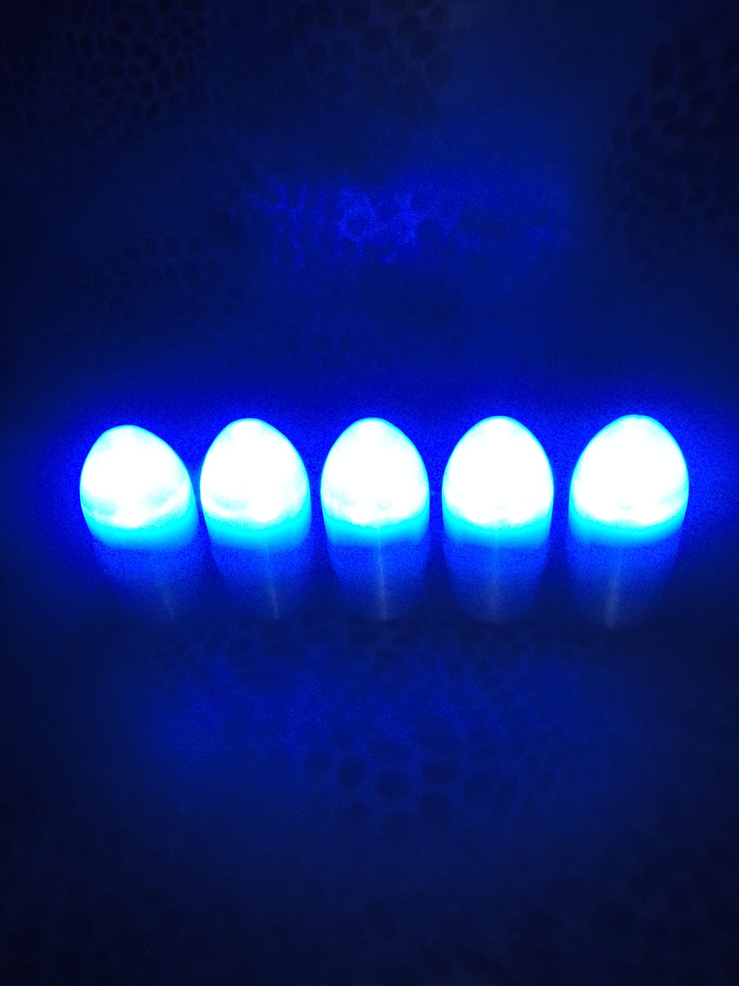 Clear illuminated rounds for aluminum or plastic shells 5-pack